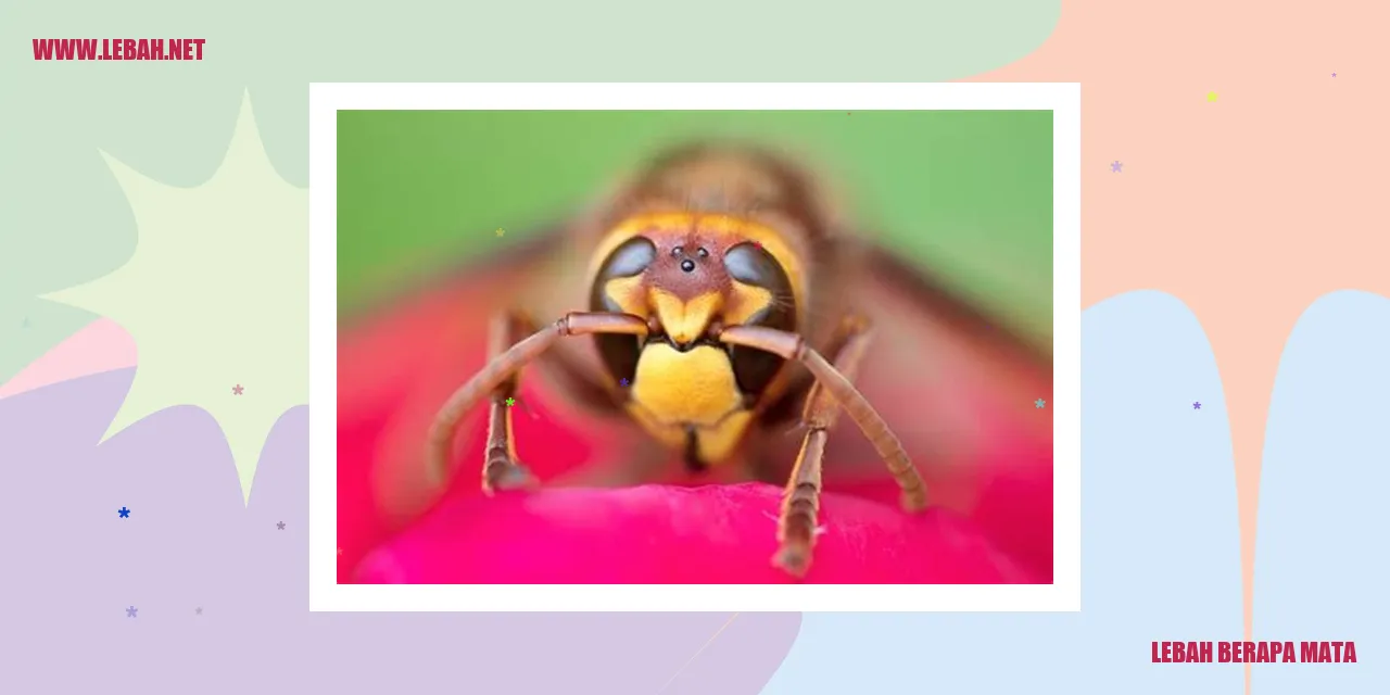 lebah berapa mata
