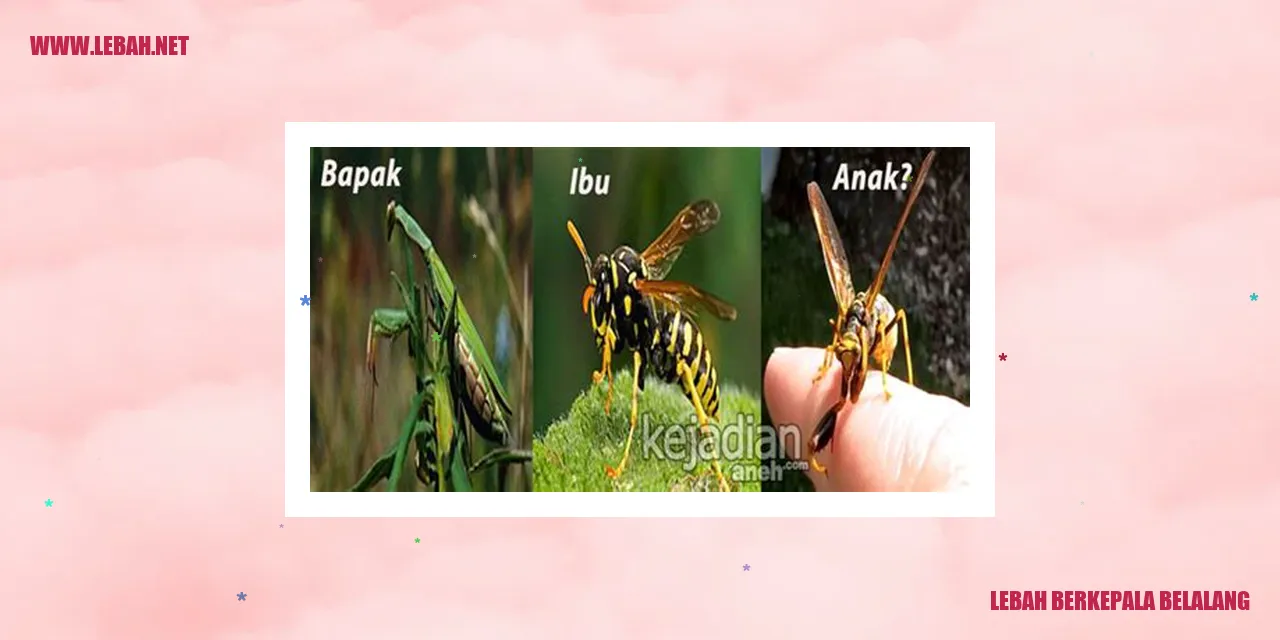 Lebah Berkepala Belalang