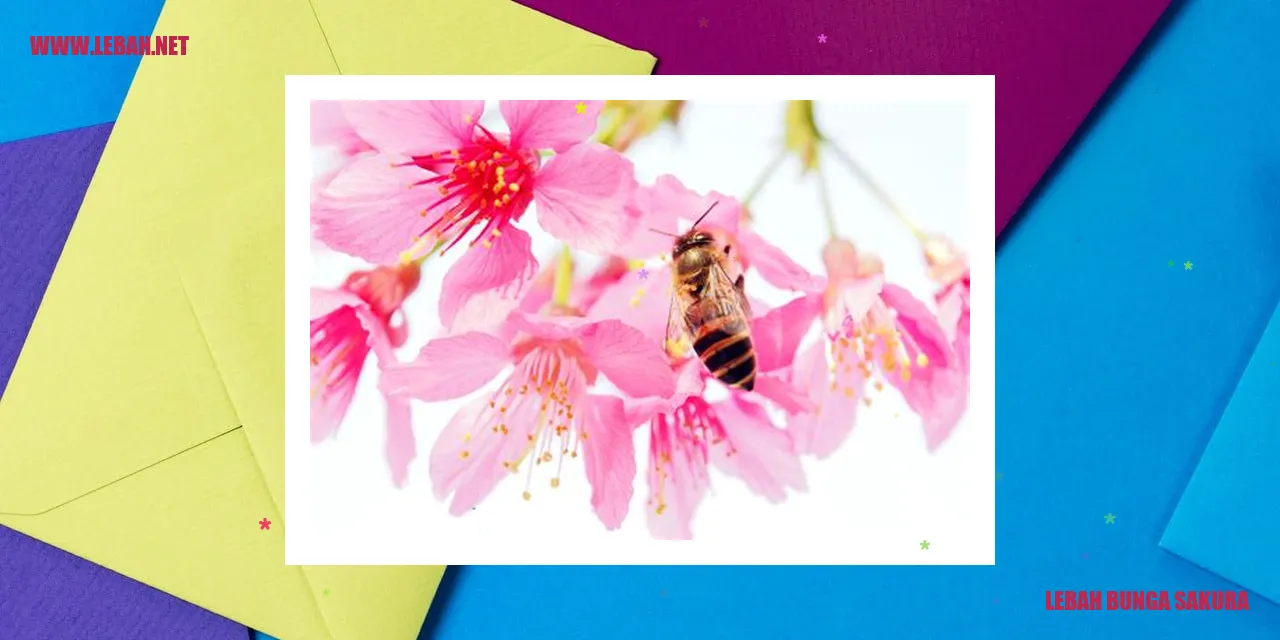 Lebah Bunga Sakura