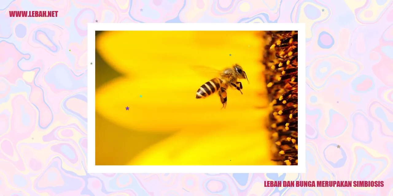 Lebah dan bunga merupakan simbiosis