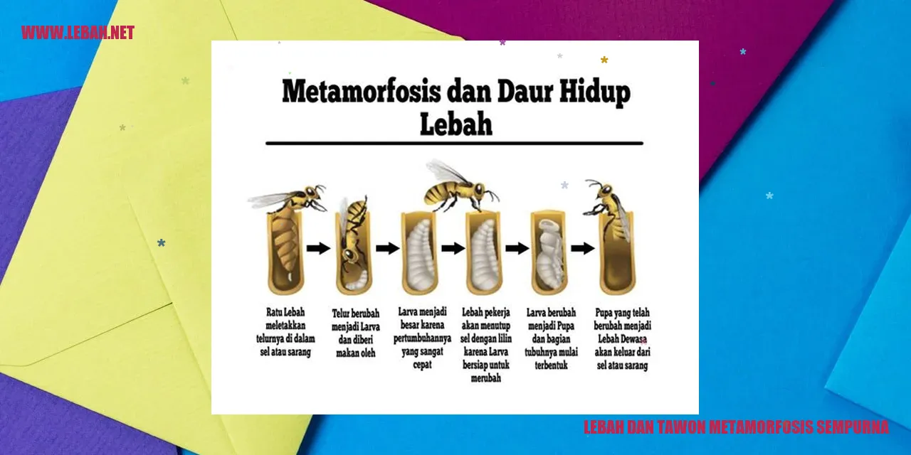 Lebah dan Tawon