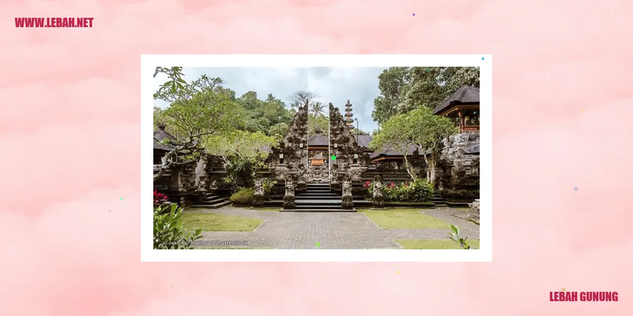 Lebah Gunung