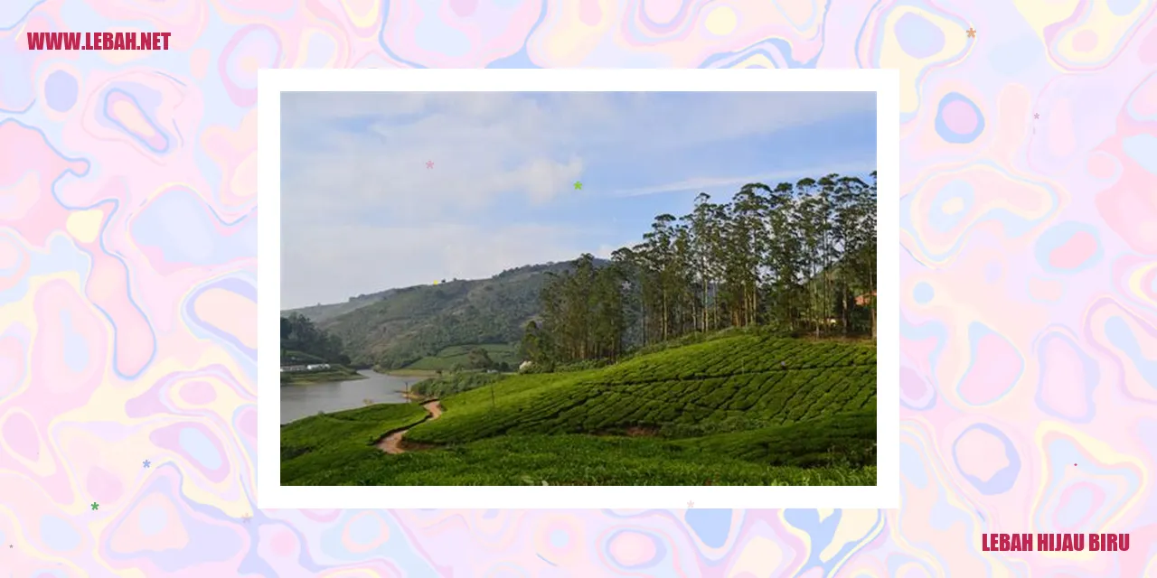 lebah hijau biru