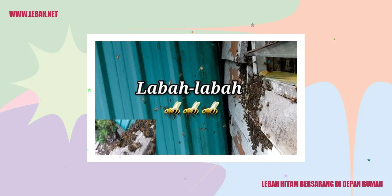 Lebah Hitam