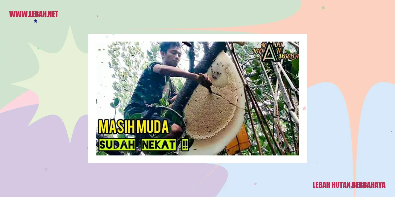 Lebah Hutan Berbahaya