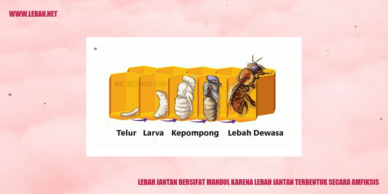 Gambar Lebah