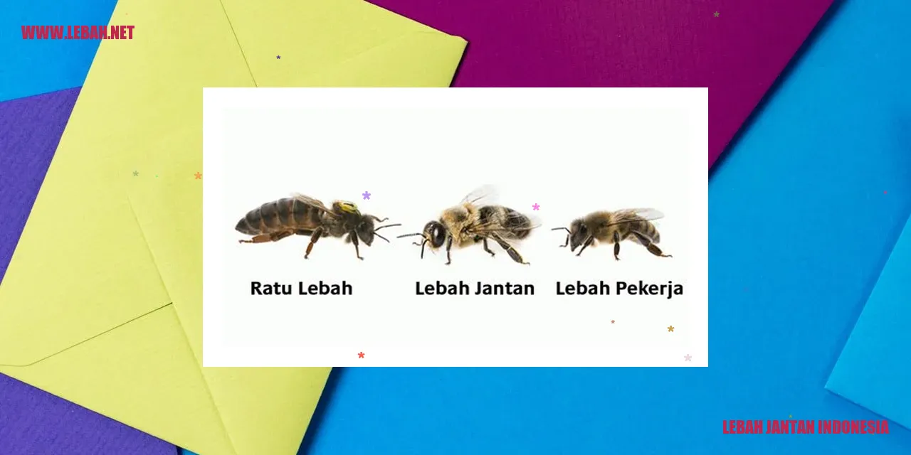 Lebah Jantan Indonesia