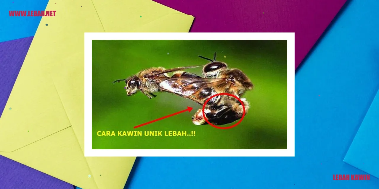 lebah kawin