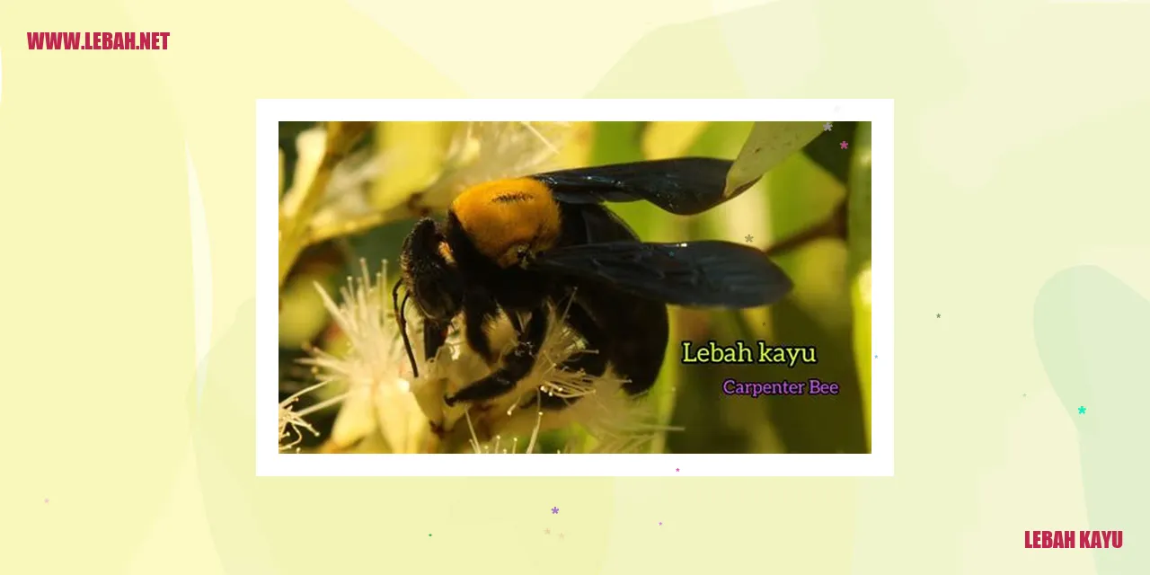 lebah kayu