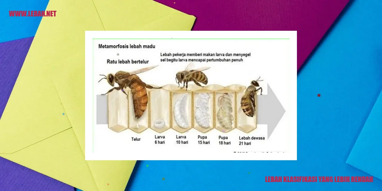 lebah klasifikasi yang lebih rendah
