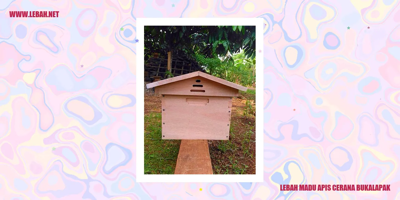 lebah madu apis cerana bukalapak