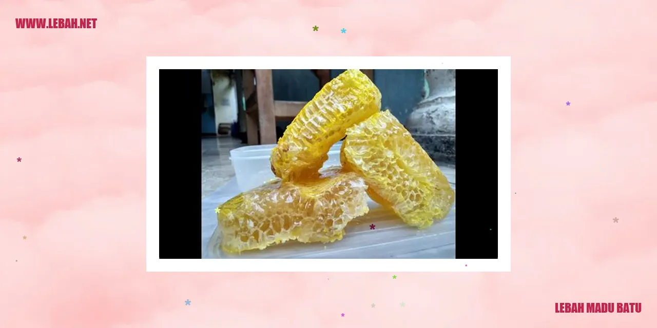 Lebah Madu Batu
