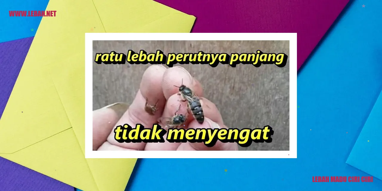 Lebah Madu