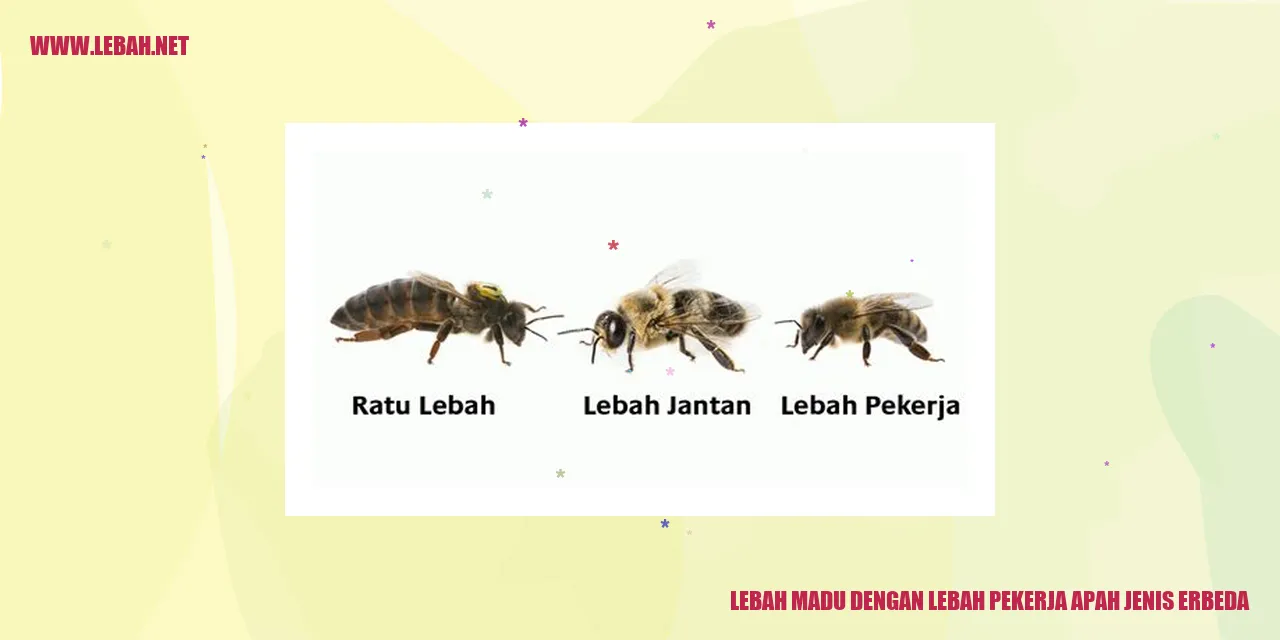 Gambar Lebah Madu dan Lebah Pekerja