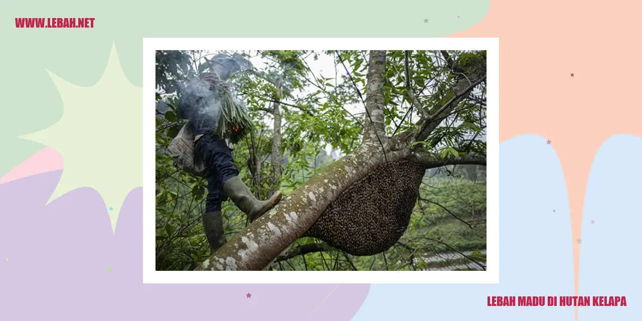 lebah madu di hutan kelapa