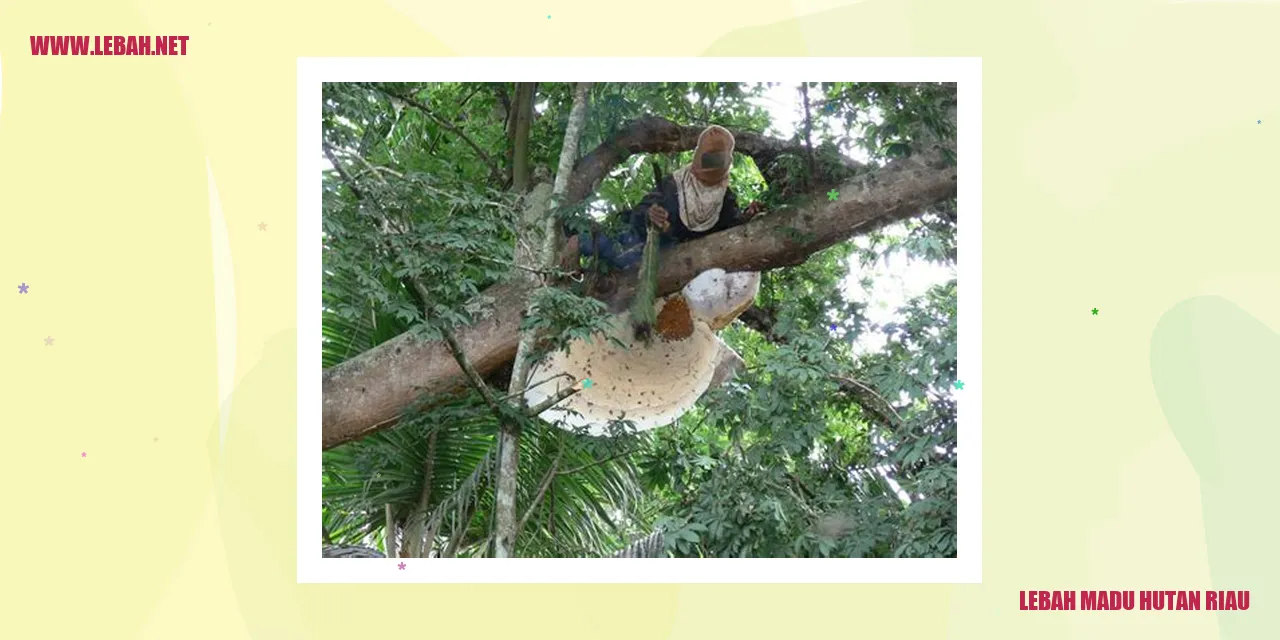 Lebah Madu Hutan Riau