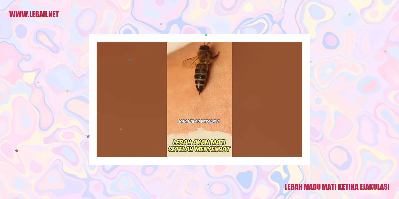 Lebah Madu Mati Ketika Ejakulasi