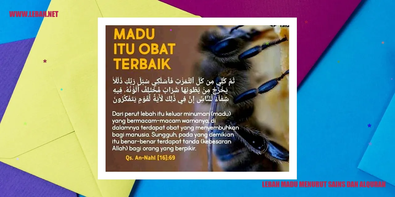 Gambar Lebah Madu