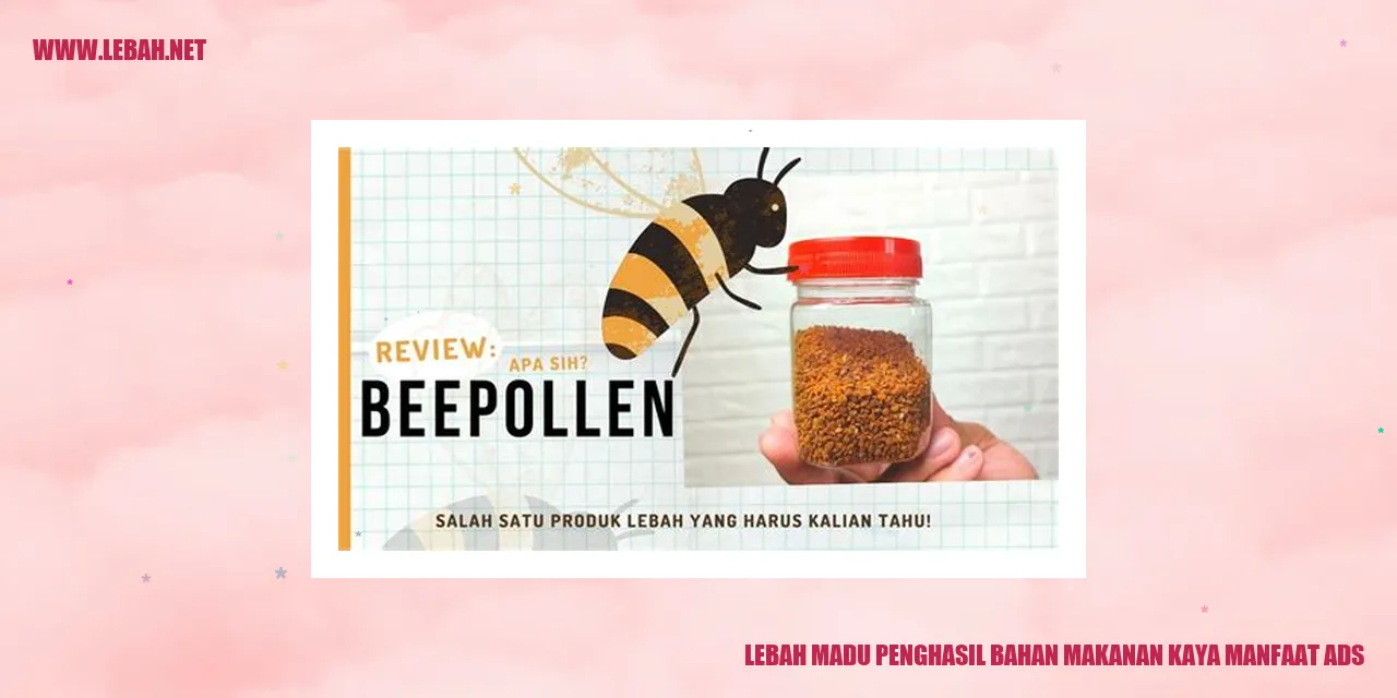 Lebah Madu