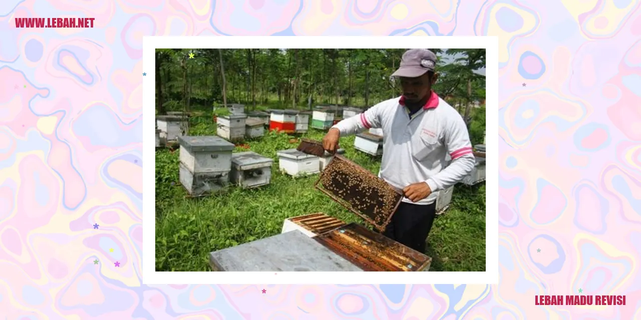 Lebah Madu Revisi