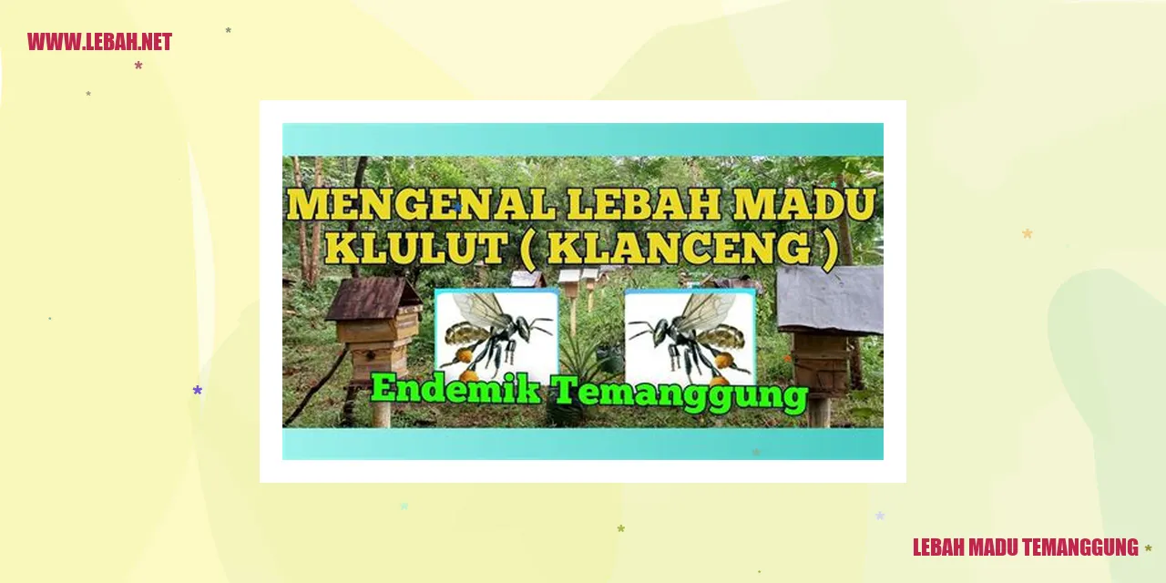 lebah madu temanggung