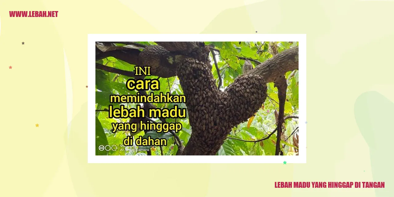 Lebah Madu