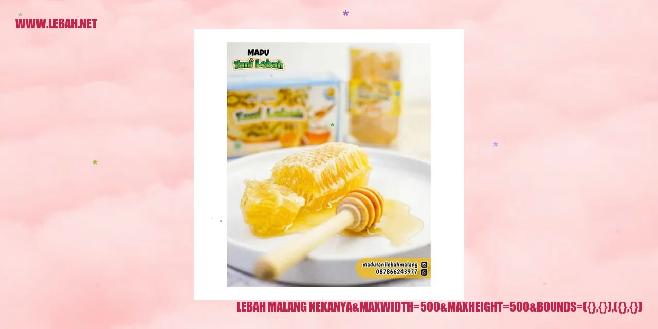 Lebah Malang