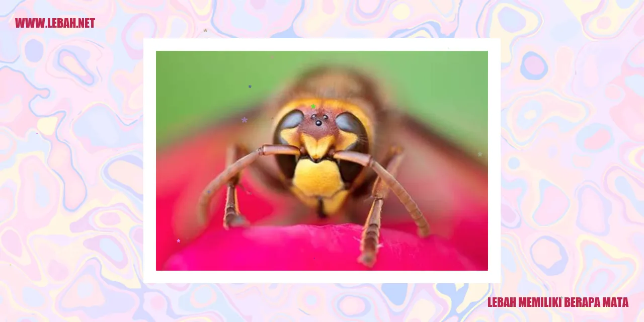lebah mata