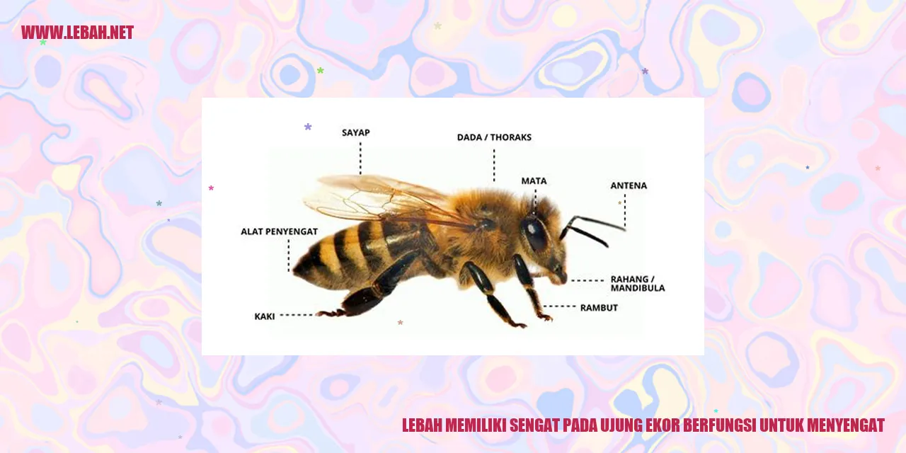 Lebah Memiliki Sengat
