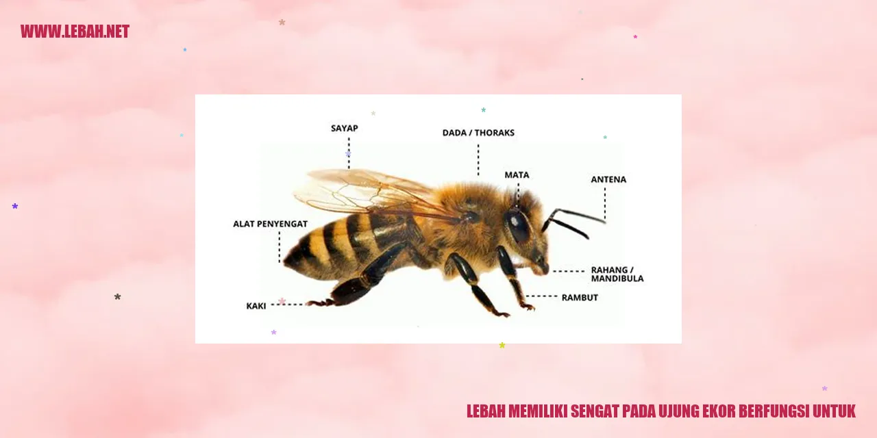 lebah memiliki sengat pada ujung ekor berfungsi untuk