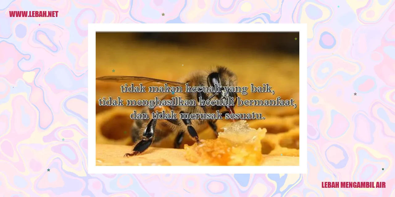 lebah mengambil air