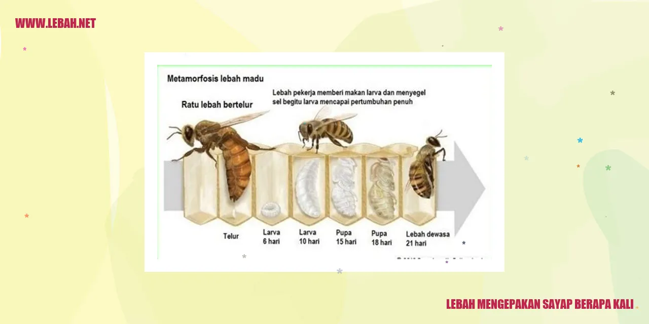 Lebah Mengepakan Sayap