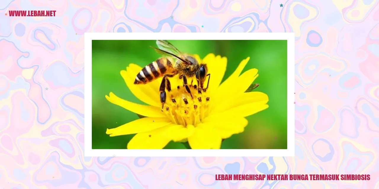 Lebah menghisap nektar bunga termasuk simbiosis