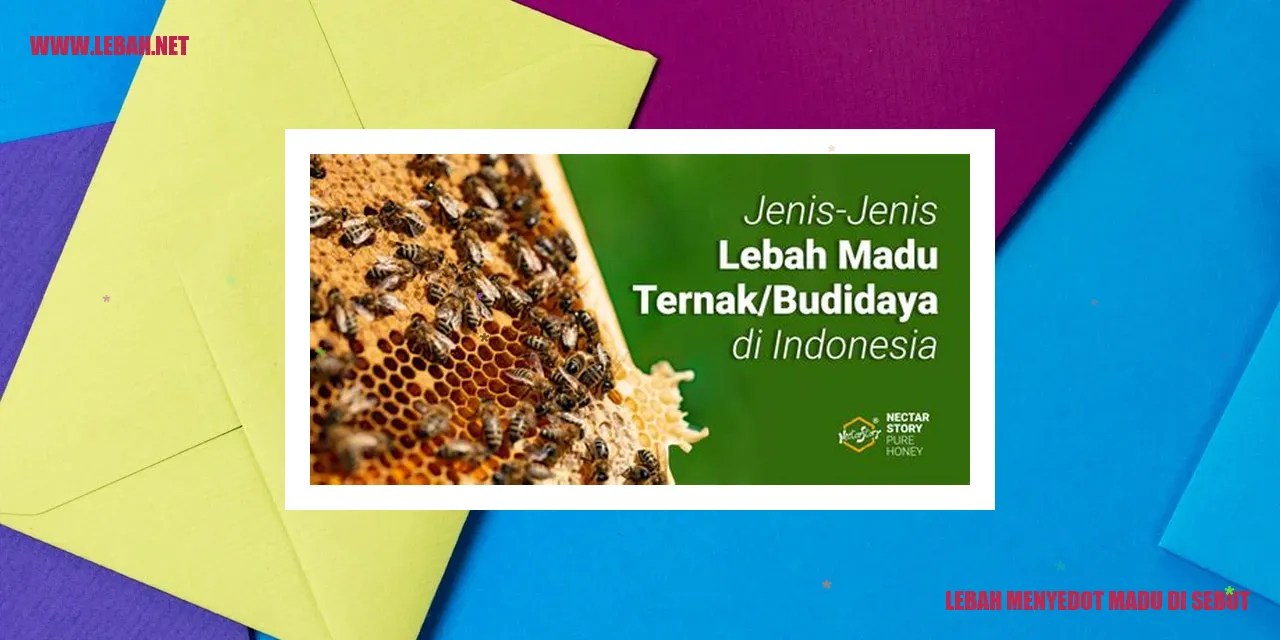 lebah menyedot madu di sebut