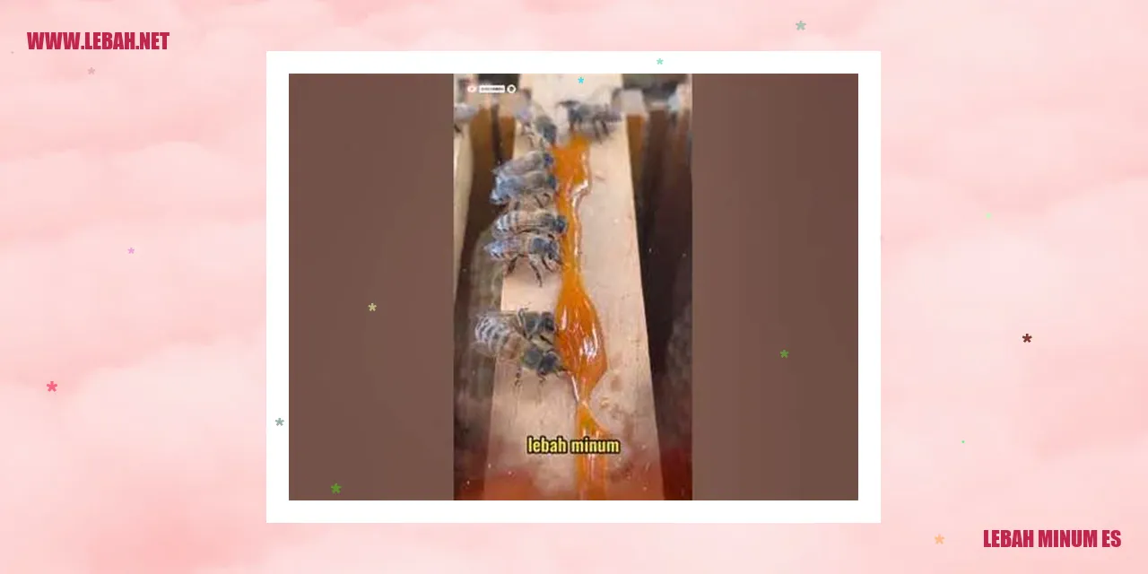 lebah minum es
