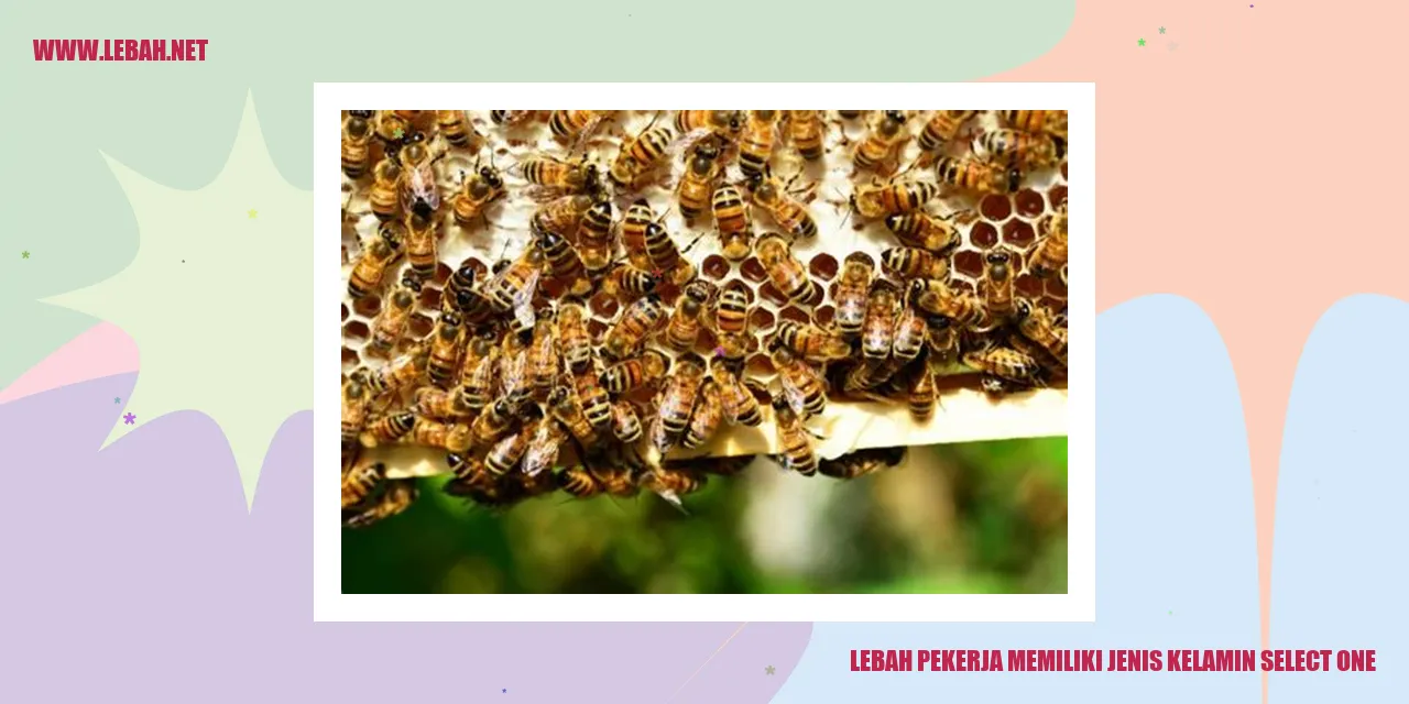 Lebah Pekerja