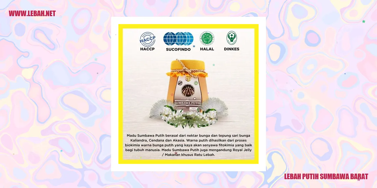 Lebah Putih Sumbawa Barat