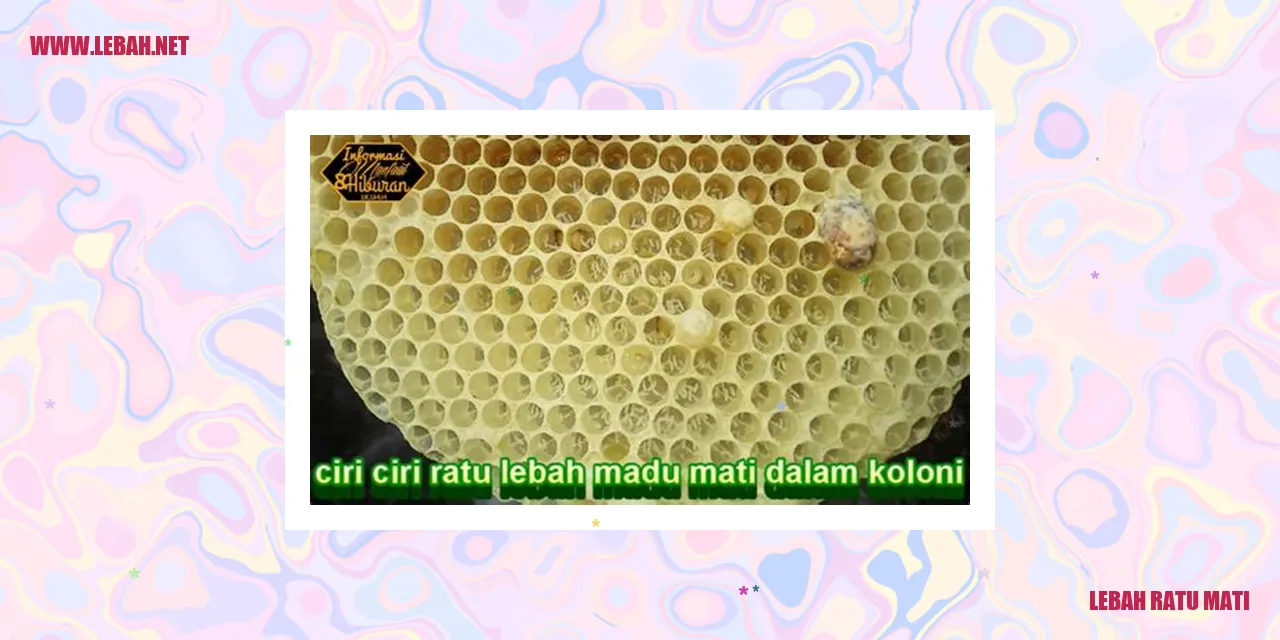 Lebah Ratu Mati