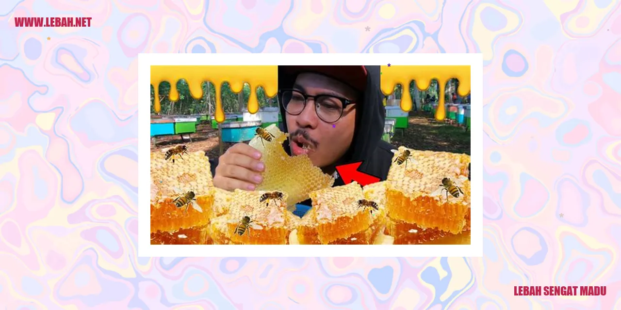 Lebah Sengat Madu