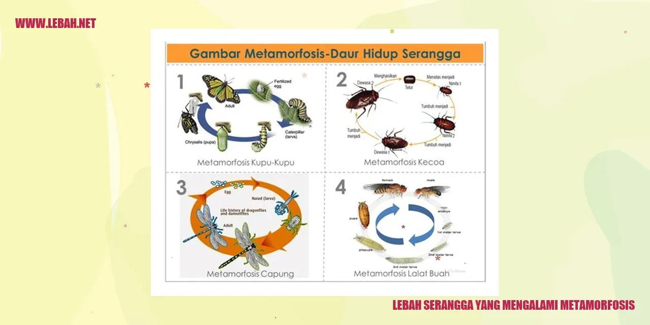 lebah serangga yang mengalami metamorfosis