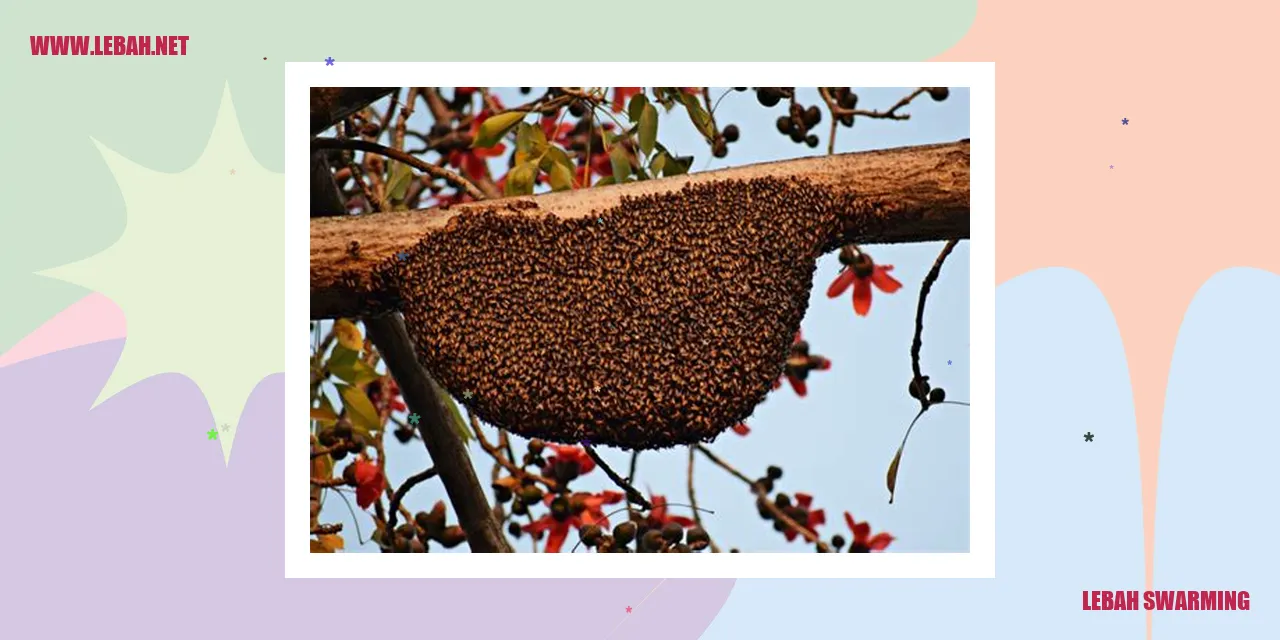 gambar lebah swarming