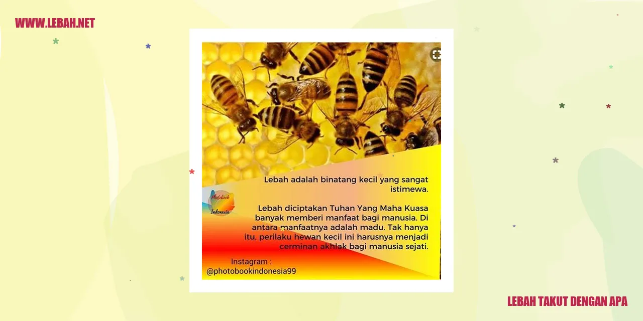 Lebah Takut dengan Apa