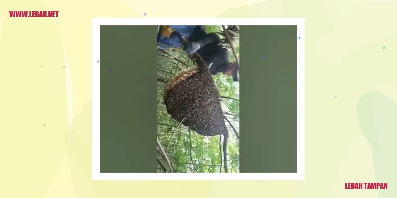Gambar Lebah Tampan