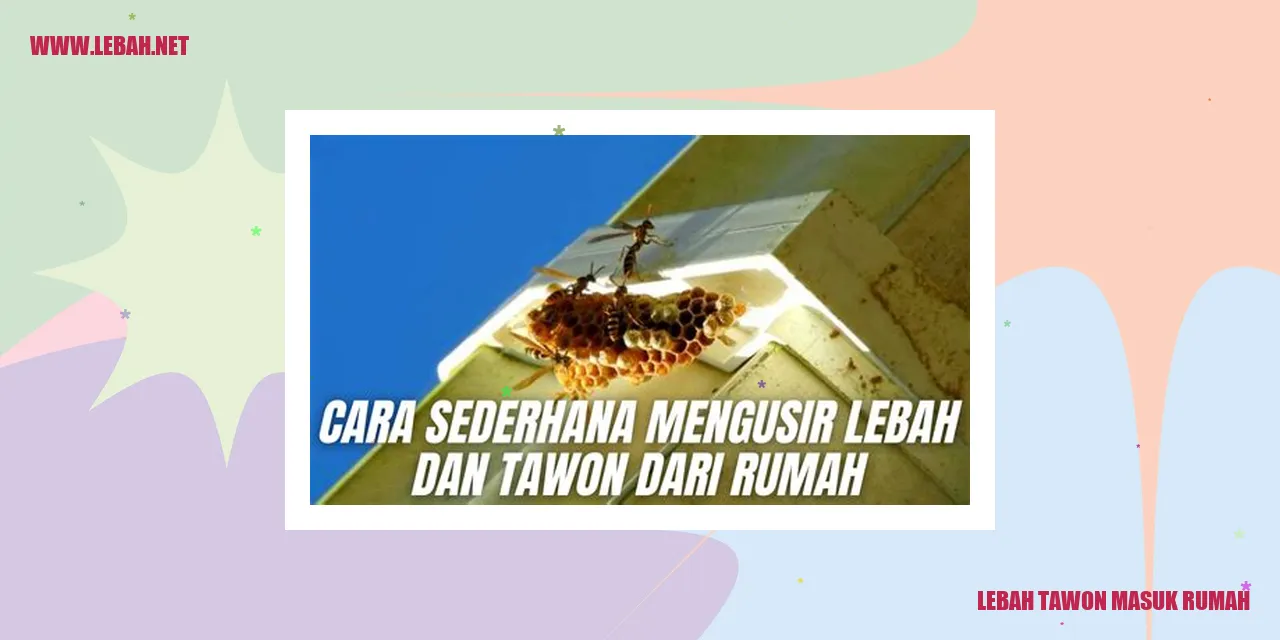 lebah tawon masuk rumah