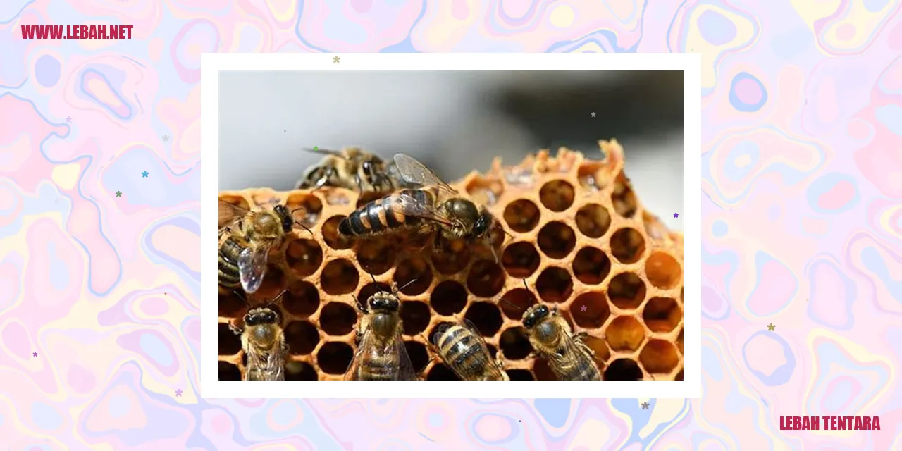 Lebah Tentara