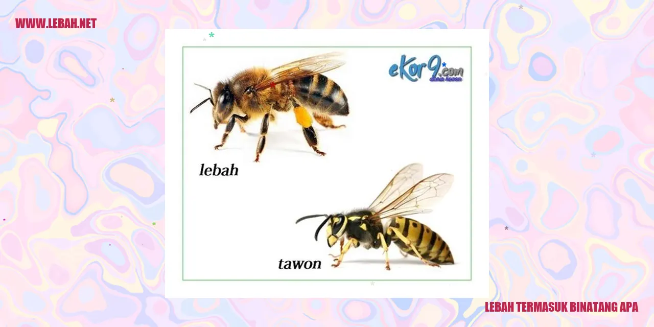 Lebah