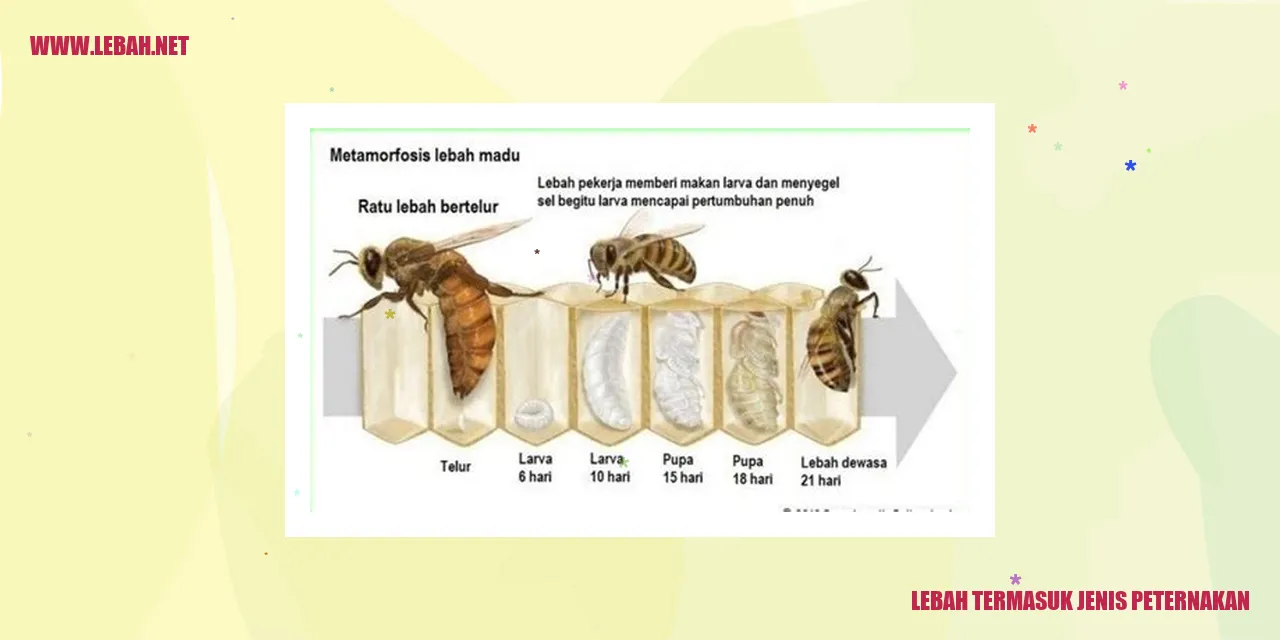 lebah termasuk jenis peternakan