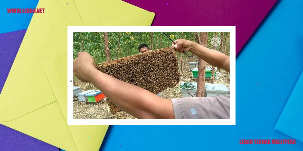 Lebah Ternak Mellyfera