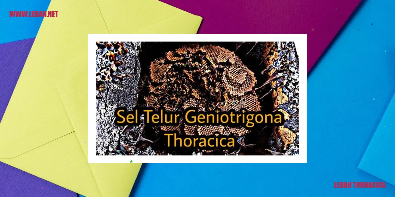 Lebah Torhasica
