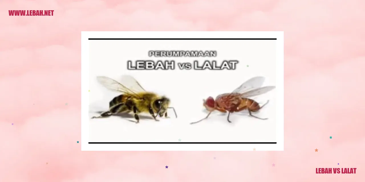 lebah vs lalat